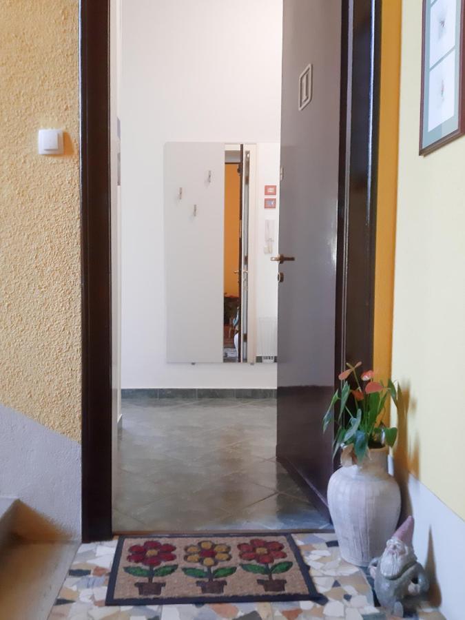 Apartment Anka